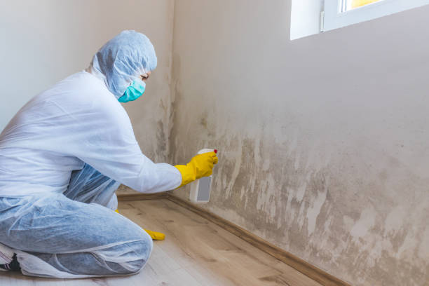 Commercial Mold Remediation assessment for commercial property in Greenville